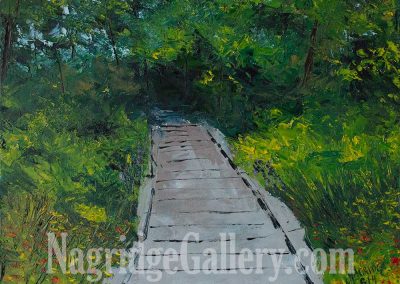 Hiking at Indian Springs